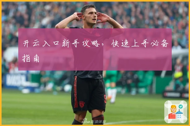 开云入口新手攻略，快速上手必备指南