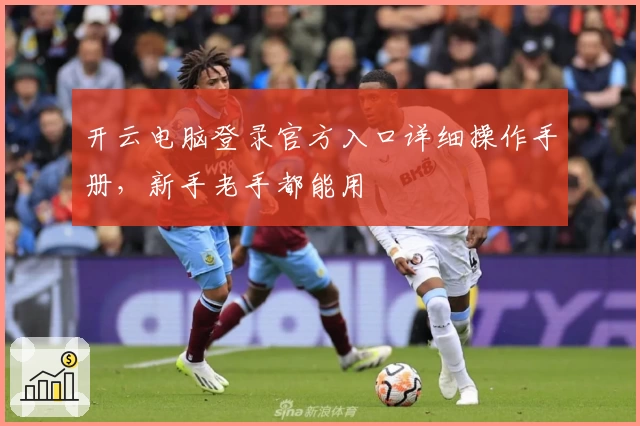 开云电脑登录官方入口详细操作手册，新手老手都能用